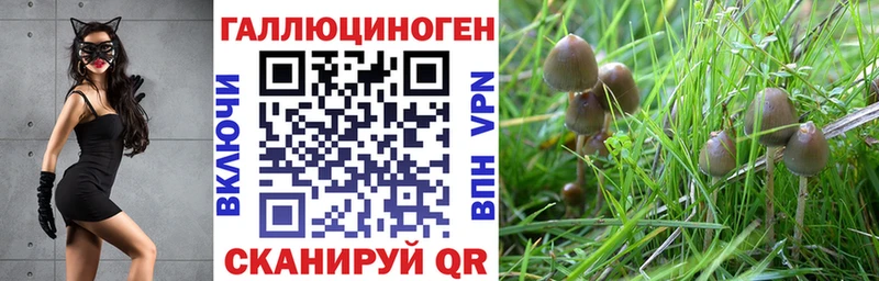 Псилоцибиновые грибы мицелий  Печоры 